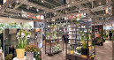 „Delphi" ist Messe-Highlight