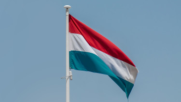 Niederländische Baumärkte bis September deutlich im Plus