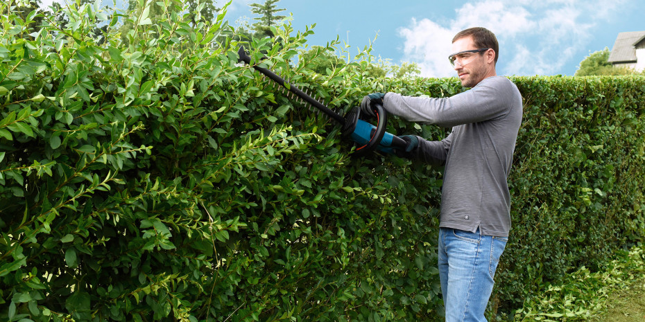 Heckenschere AHS 55-20 LI