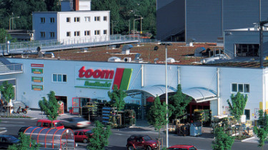 Toom wächst auf bereinigter Fläche