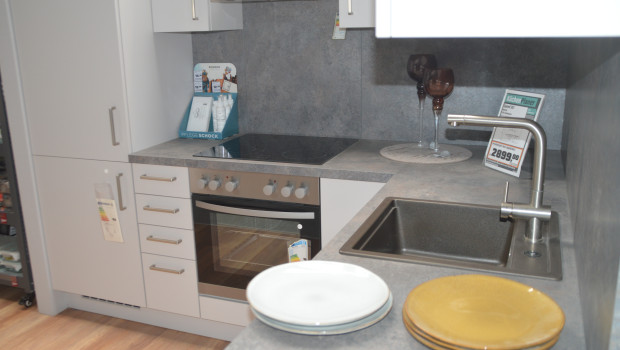 Die Unternehmensberatung hat den Bereich Küchenspülen unter die Lupe genommen.&nbsp;